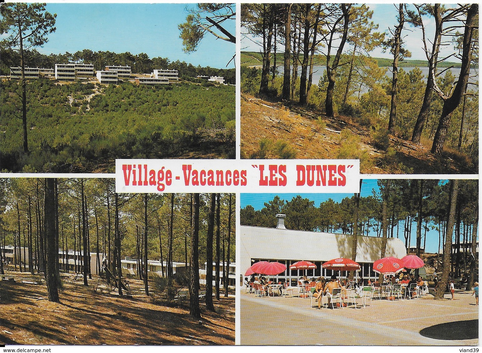 Bombannes Carcans - Village Vacances Les Dunes - 1 - Carcans