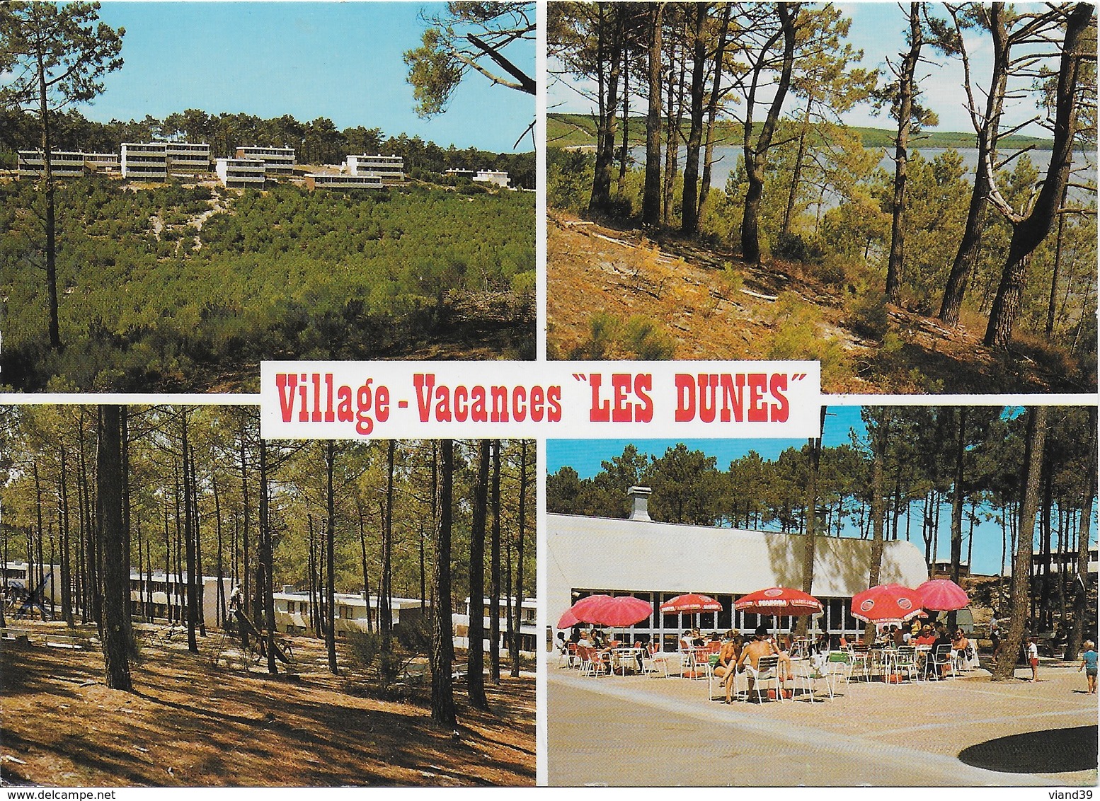 Bombannes Carcans - Village Vacances Les Dunes - 1 - Carcans