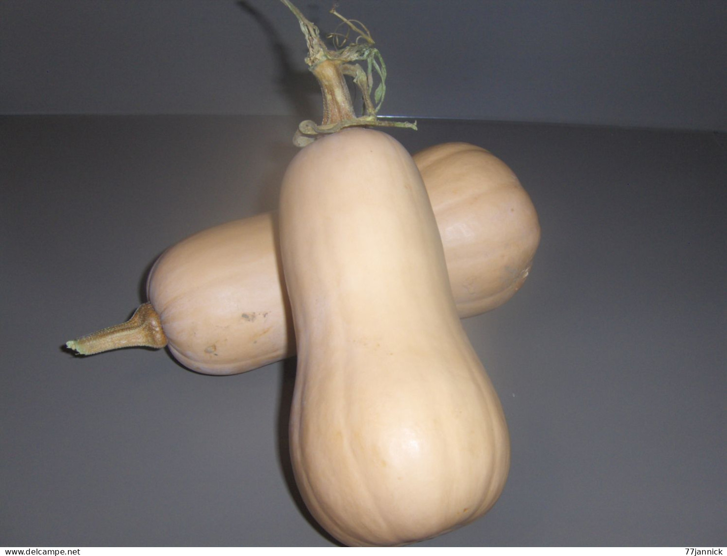 20 Graines De COURGES BUTTERNUT( BIO) - Other & Unclassified