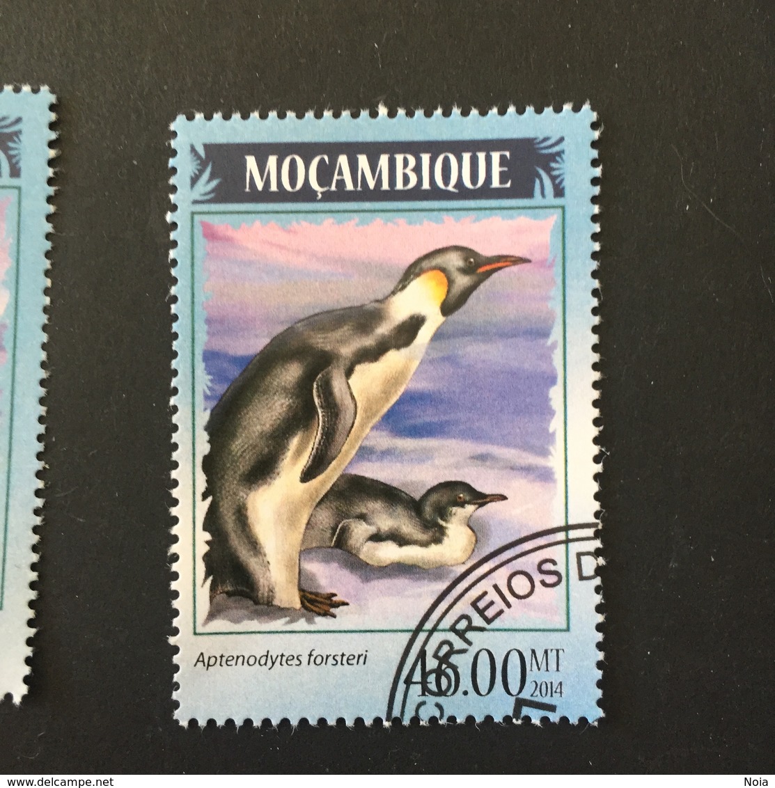 MOZAMBIQUE. 2014. PENGUINS. (B0805B) - Penguins