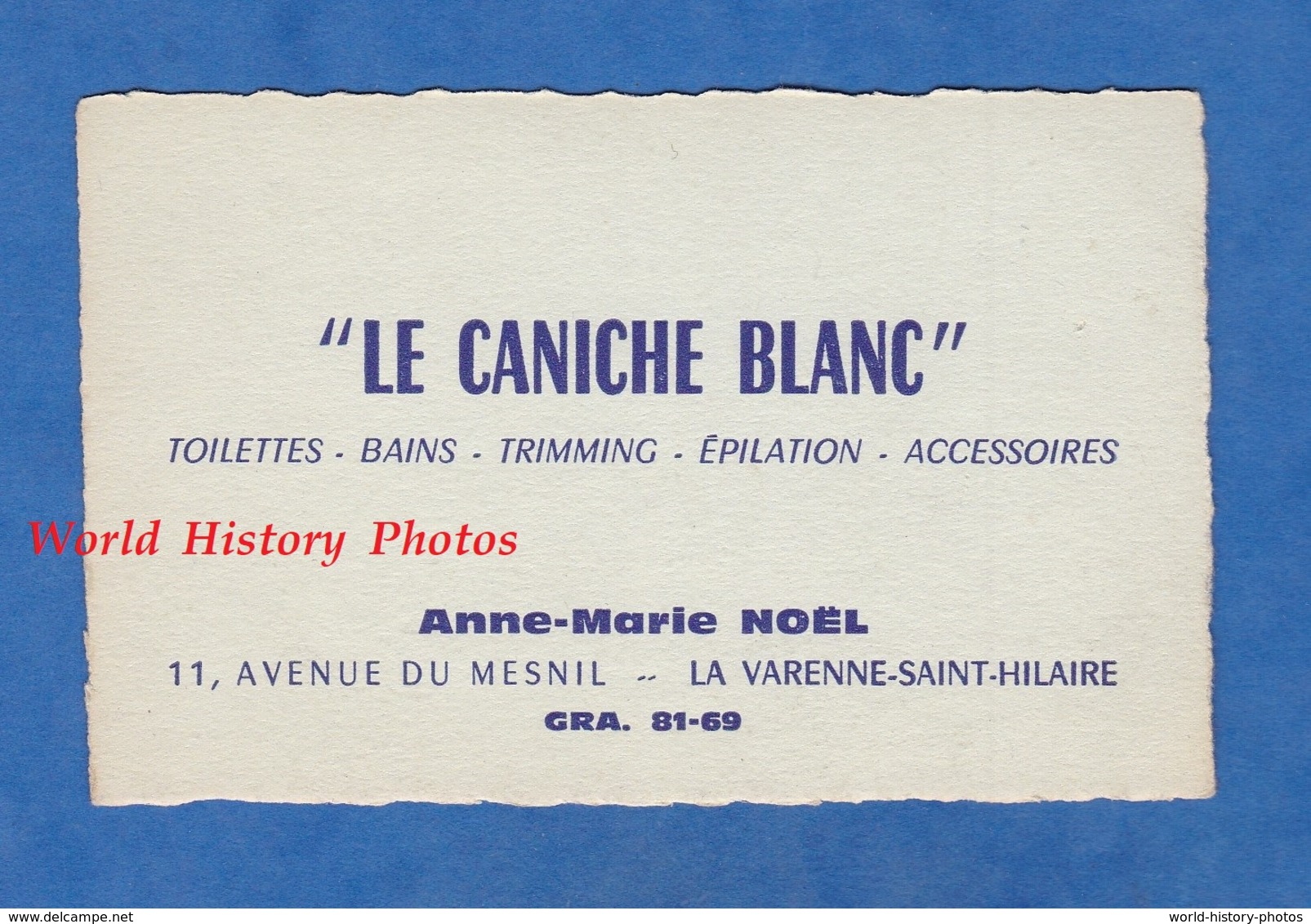 Carte De Visite Ancienne - LA VARENNE SAINT HILAIRE - " Le Caniche Blanc " 11 Avenue Du Mesnil Anne Marie Noel - Chien - Cartes De Visite