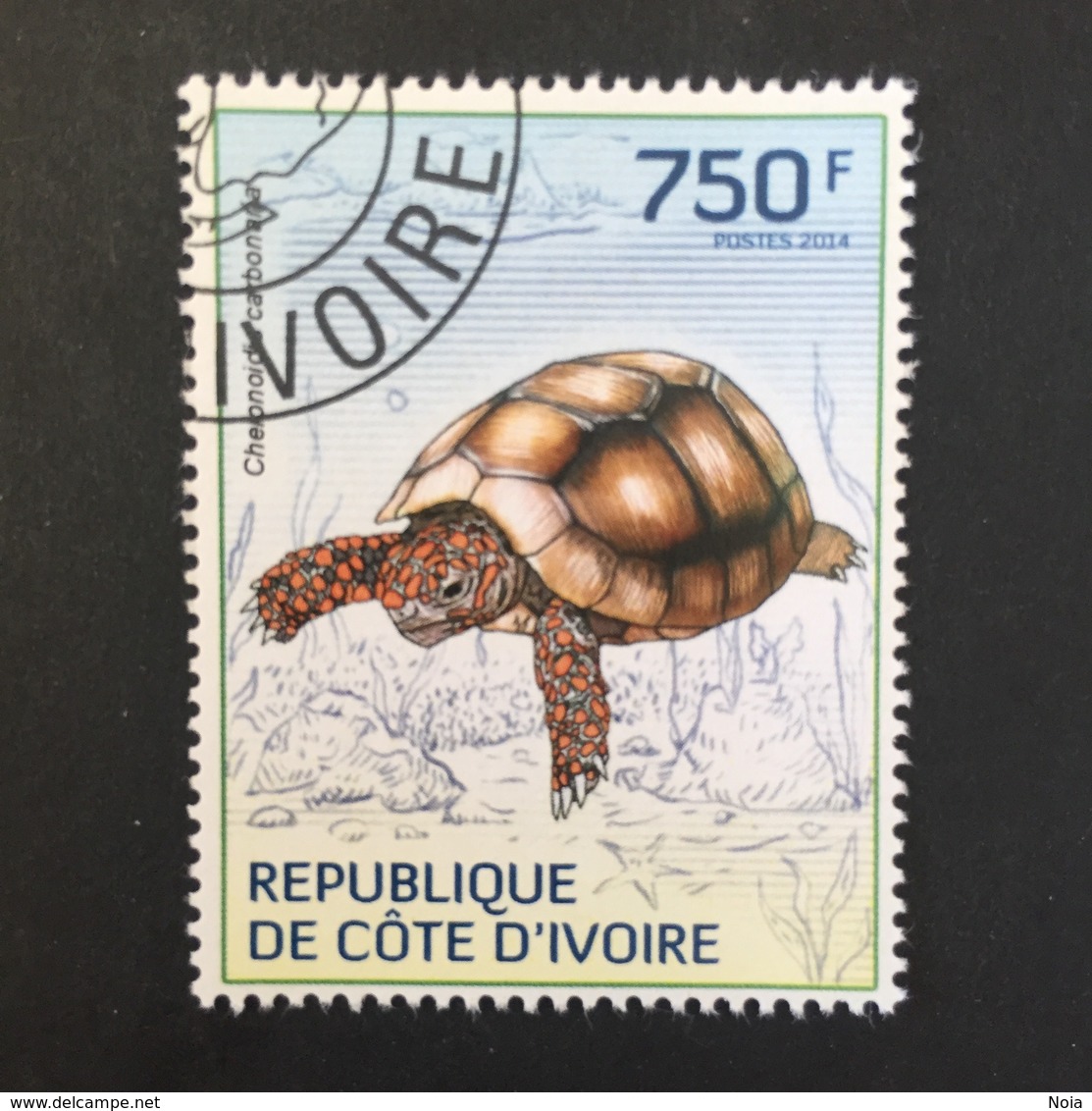 COTE D’ IVOIRE REPUBLIC. TURTLES. 2014. (B0807C) - Turtles