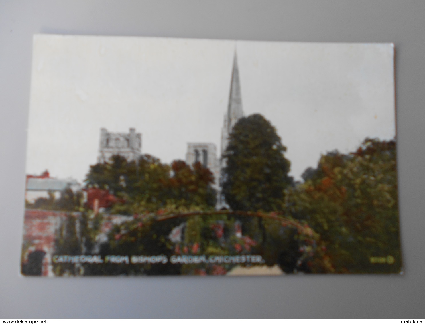 ANGLETERRE SUSSEX CHICHESTER CATHEDRAL FROM BISHOP'S GARDEN - Chichester