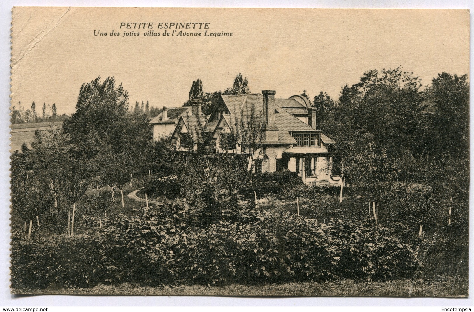 CPA - Carte Postale - Belgique - Petite Espinette - Une Des Jolies Villas De L'Avenue Lequime - 1922 (SV6534) - Ukkel - Uccle