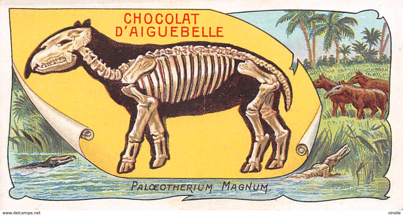 PIE-RO-18-7520 : EDITION CHOCOLAT D'AIGUEBELLE. LES FOSSILES. PALOEOTHERIUM MAGNUM. VITRY-SUR-SEINE. VAL DE MARNE. - Aiguebelle