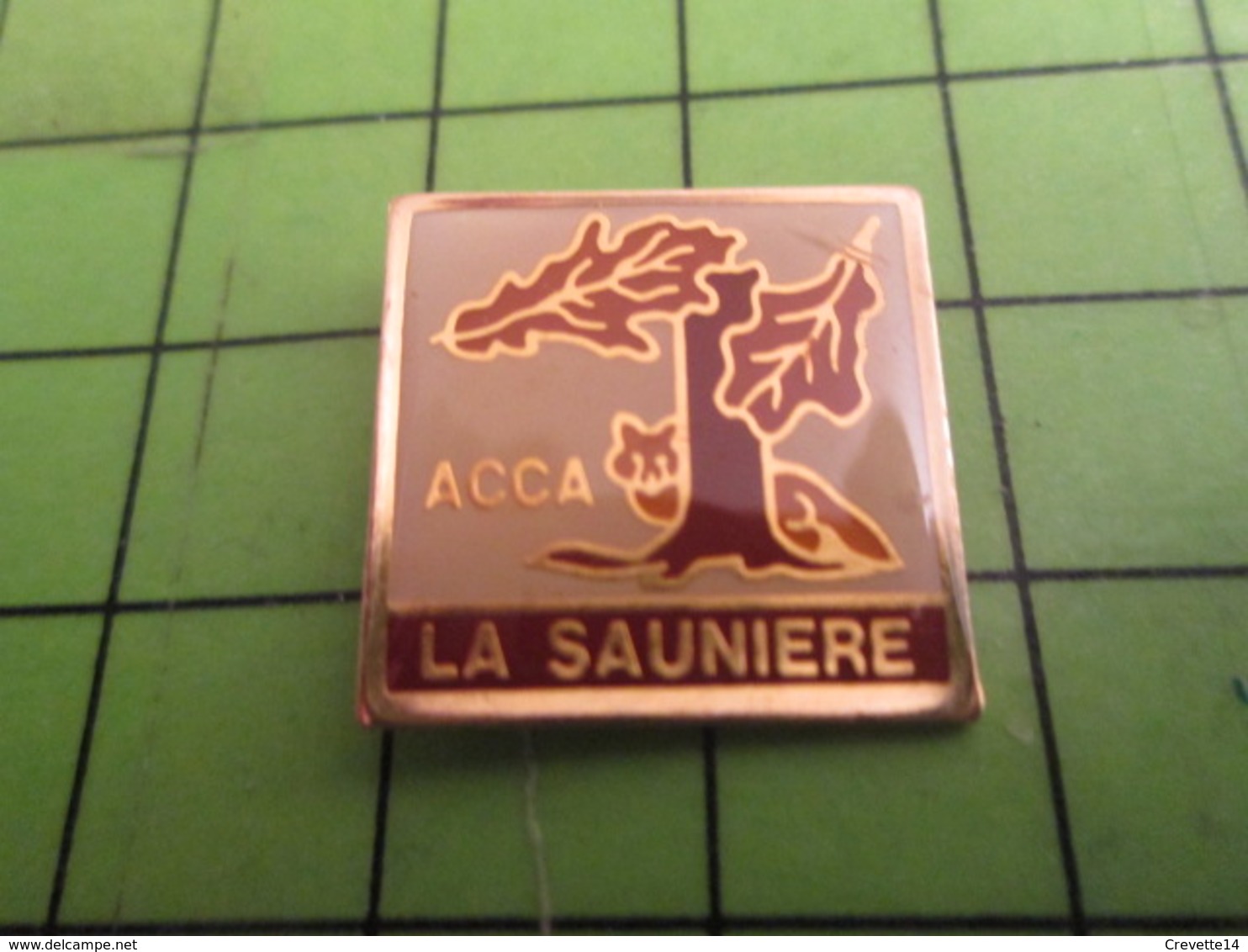 1012b Pin's Pins /  Belle Bet Rare / THEME ASSOCIATION : CHASSE ACCA LA SAUNIERE CHENE Pas Stéréo RENARD - Associations