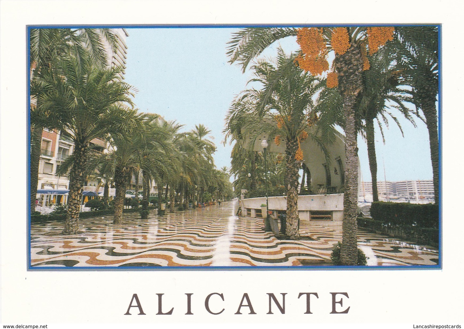 Postcard Alicante Explanada De Espana My Ref  B23237 - Alicante