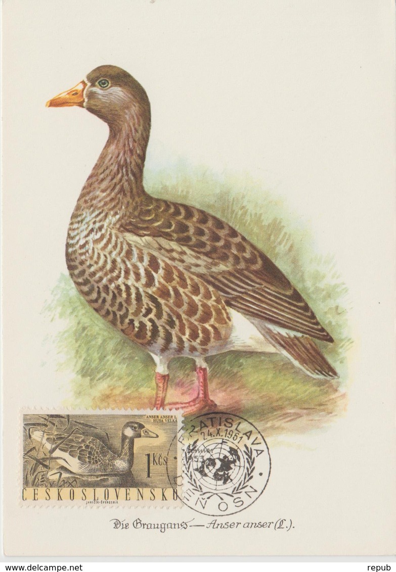 Tchécoslovaquie Carte Maximum Oiseaux 1960 Oie 1113 - Lettres & Documents