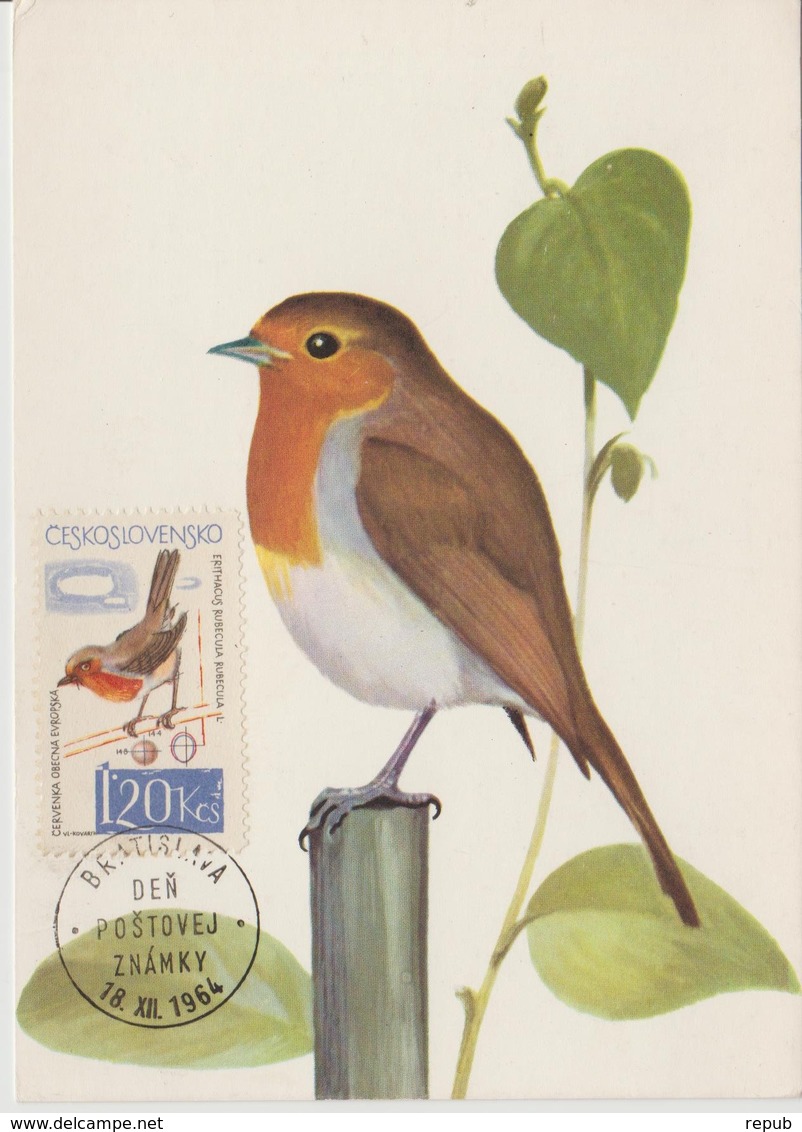 Tchécoslovaquie Carte Maximum Oiseaux 1964 Rouge Gorge 1365 - Lettres & Documents