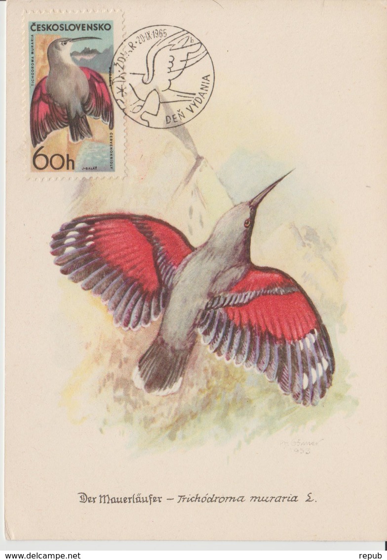 Tchécoslovaquie Carte Maximum Oiseaux 1965 Grimpereau 1434 - Lettres & Documents