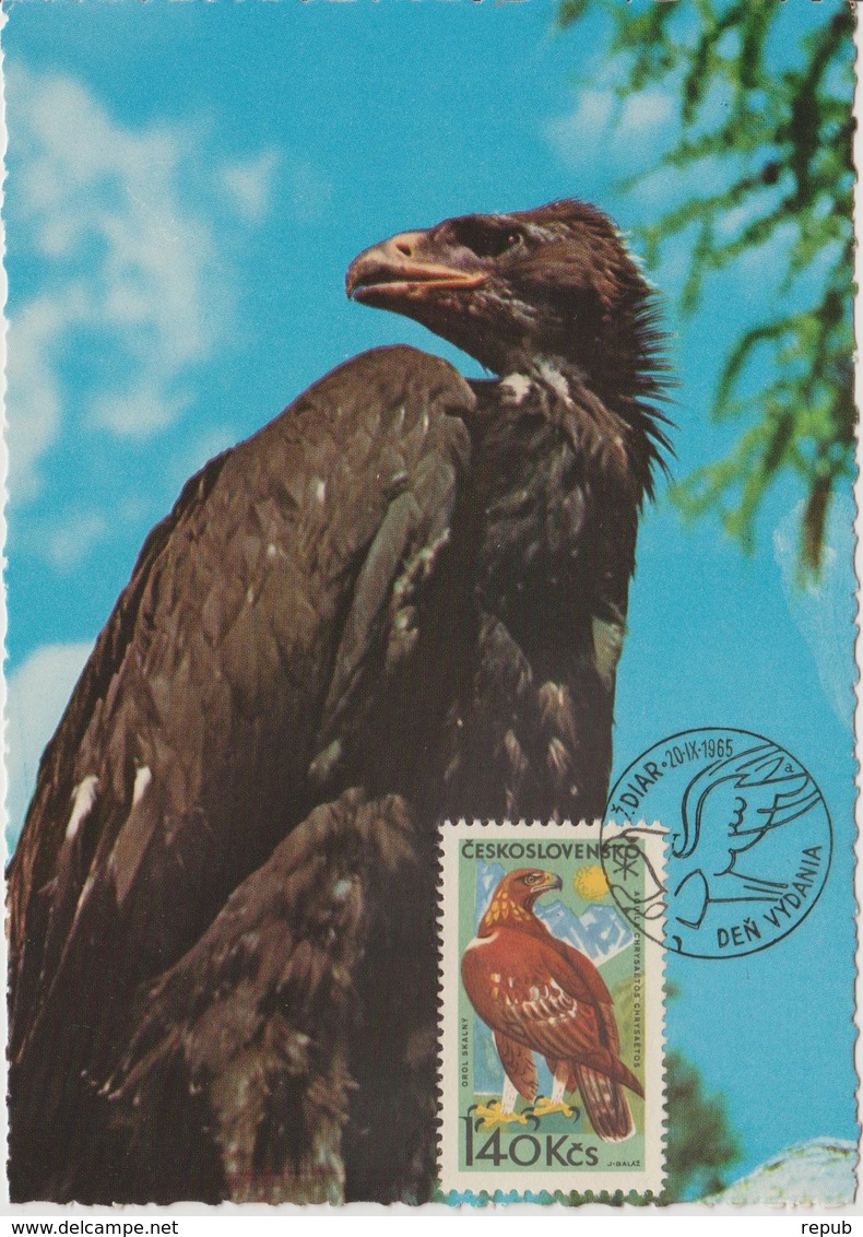 Tchécoslovaquie Carte Maximum Oiseaux 1965 Aigle 1436 - Lettres & Documents