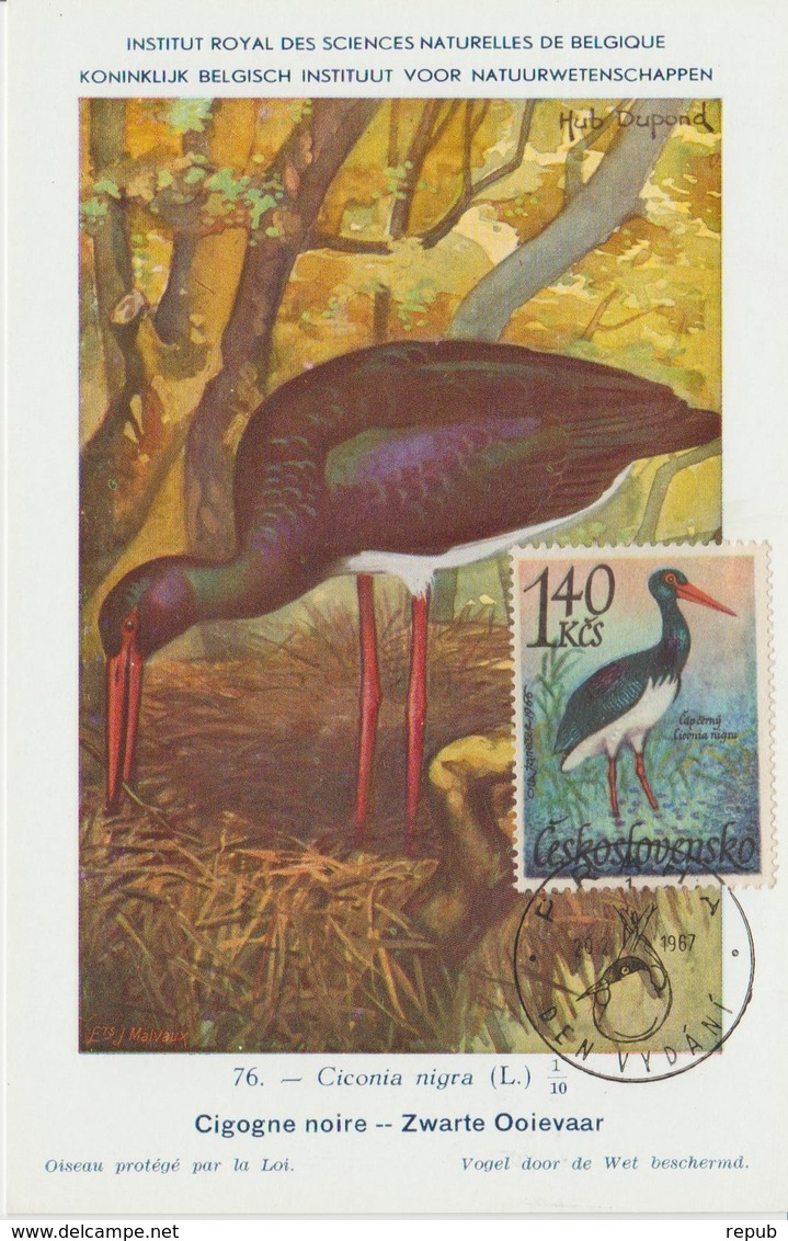 Tchécoslovaquie Carte Maximum Oiseaux 1967 Cigogne 1548 - Lettres & Documents