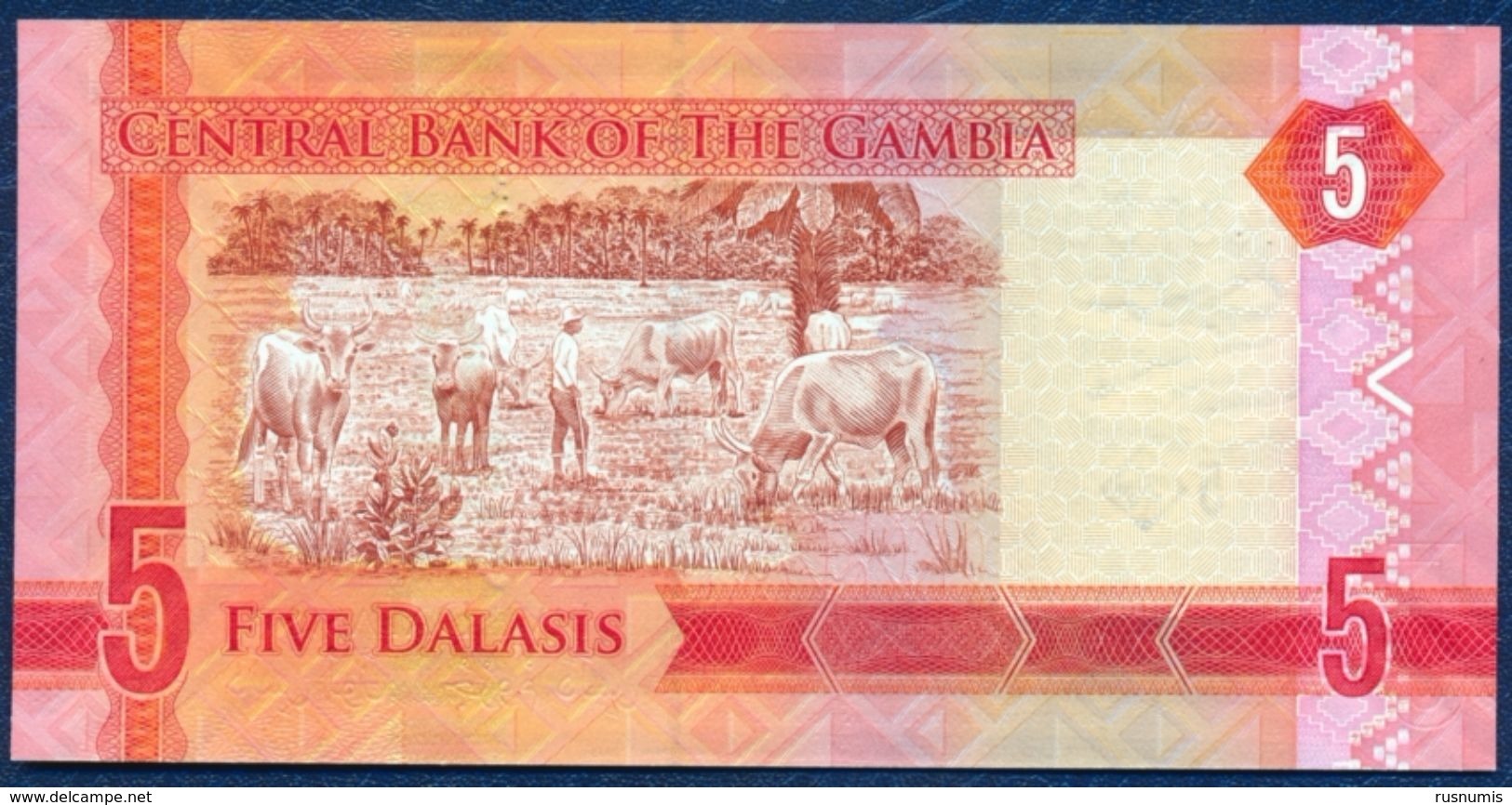 GAMBIA 5 DALASIS P-31 FAUNA ANIMALS BIRD 2015 UNC - Gambia