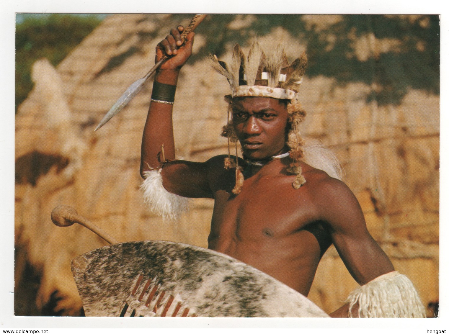 African  Life , A Zulu Warrior With His Raised " Assegai "  ..... , Neuve - Afrique Du Sud