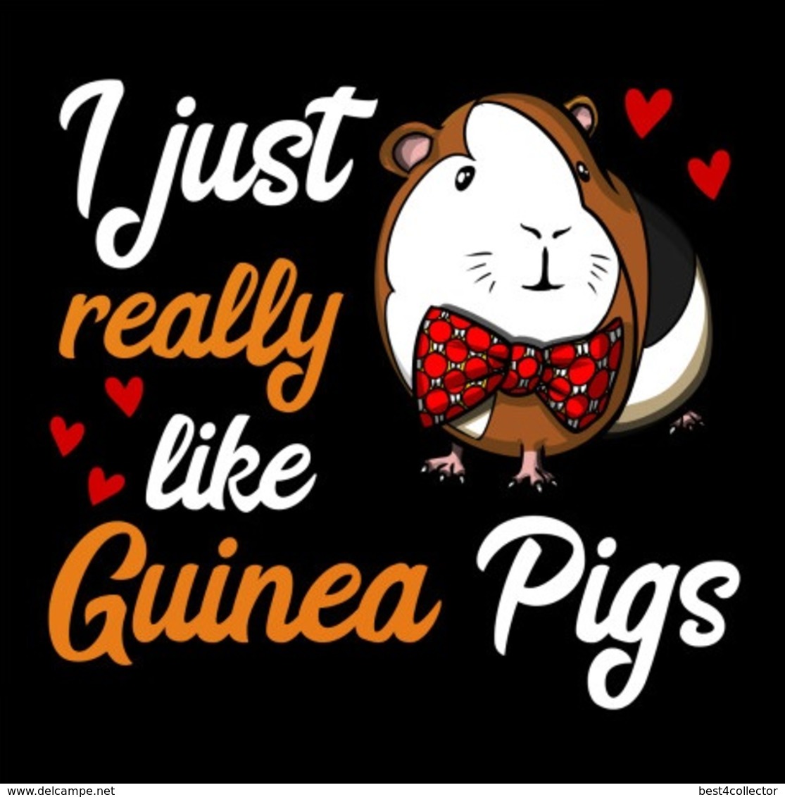 @@@ MAGNET - Guinea Pig - Publicitaires