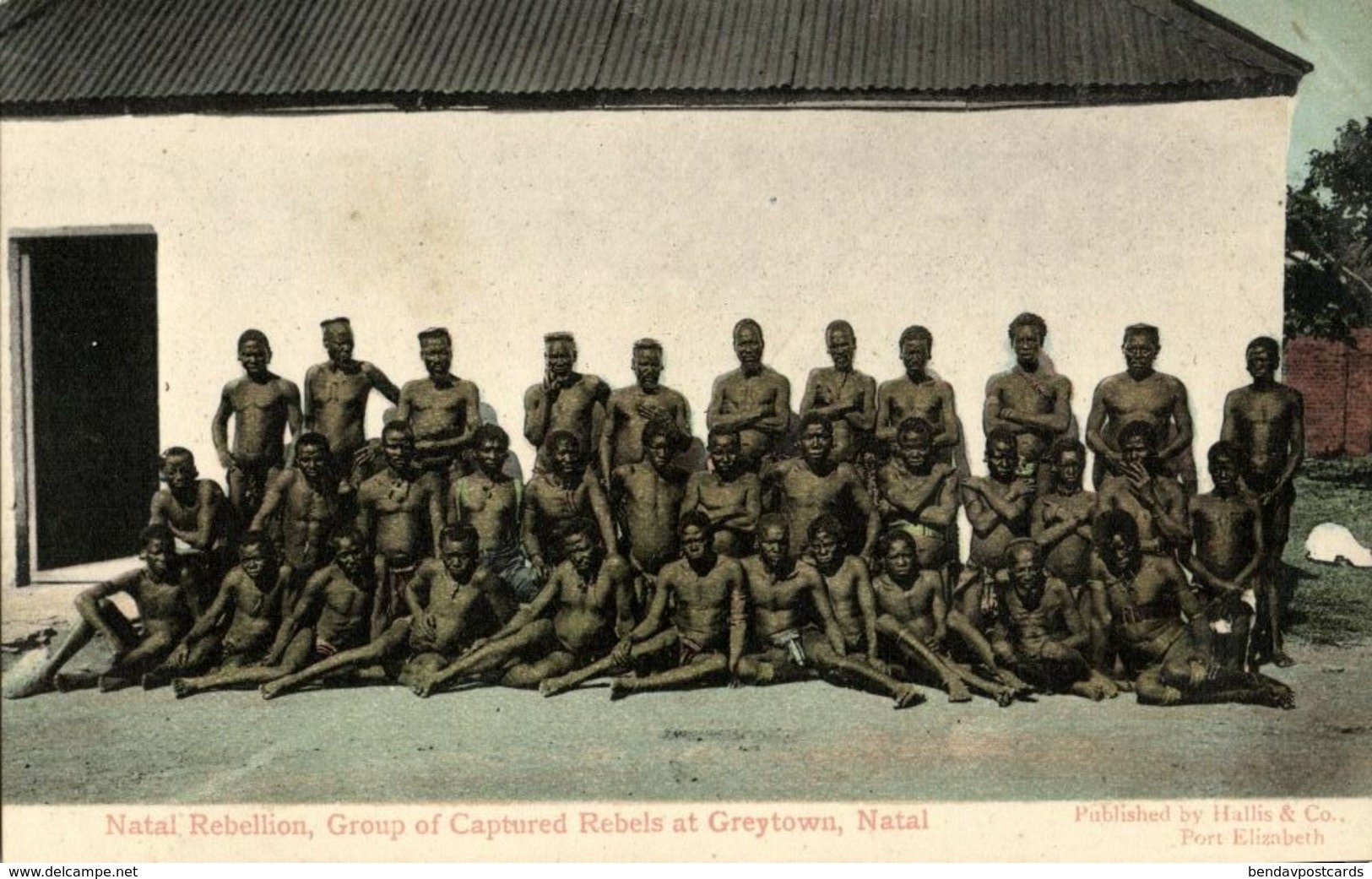 South Africa, NATAL Rebellion, Captured Rebels At Greytown (1906) Postcard - South Africa