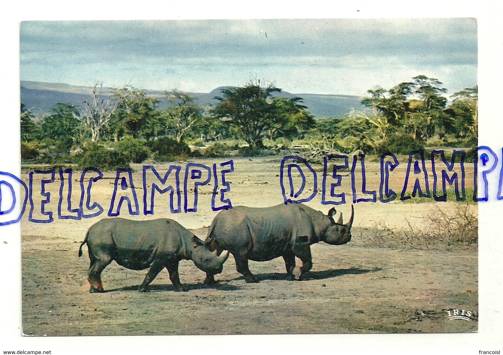 Faune Africaine. Rhinocéros. Mexichrome. Editions HOA-QUI 4062 - Rhinocéros