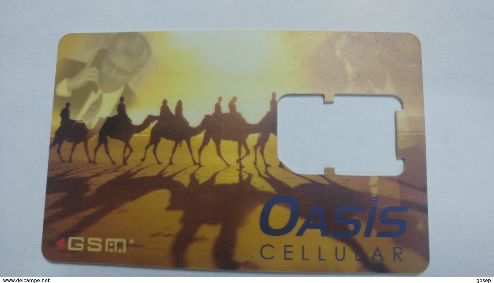 India-oasis G.s.m Cellular-(12)-g.s.m Card-used+1 Card Prepiad Free - Inde