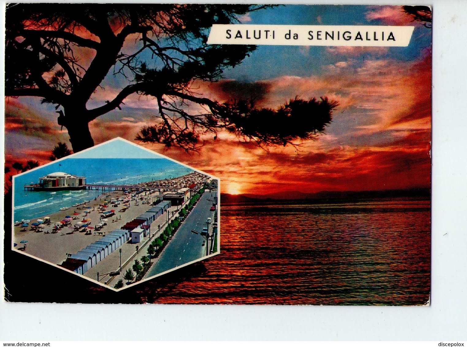 U4105 Cartolina 1971 SENIGALLIA (ancona) Saluti Da... + Tramonto Sunset Coucher _ Ed La Rocca N. 30 / 60019 @ Trimboli - Altri & Non Classificati