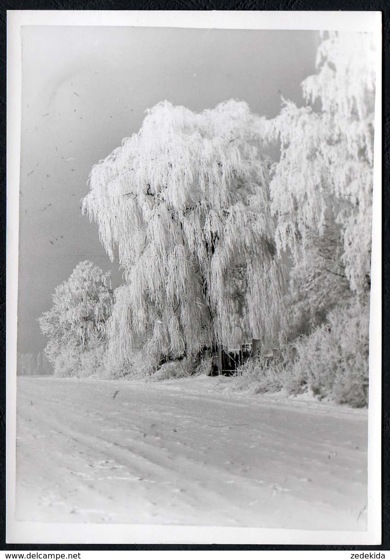 C0150 - Foto - Winterlandschaft Schnee Schneelandschaft - Vereiste Bäume - Fotografie