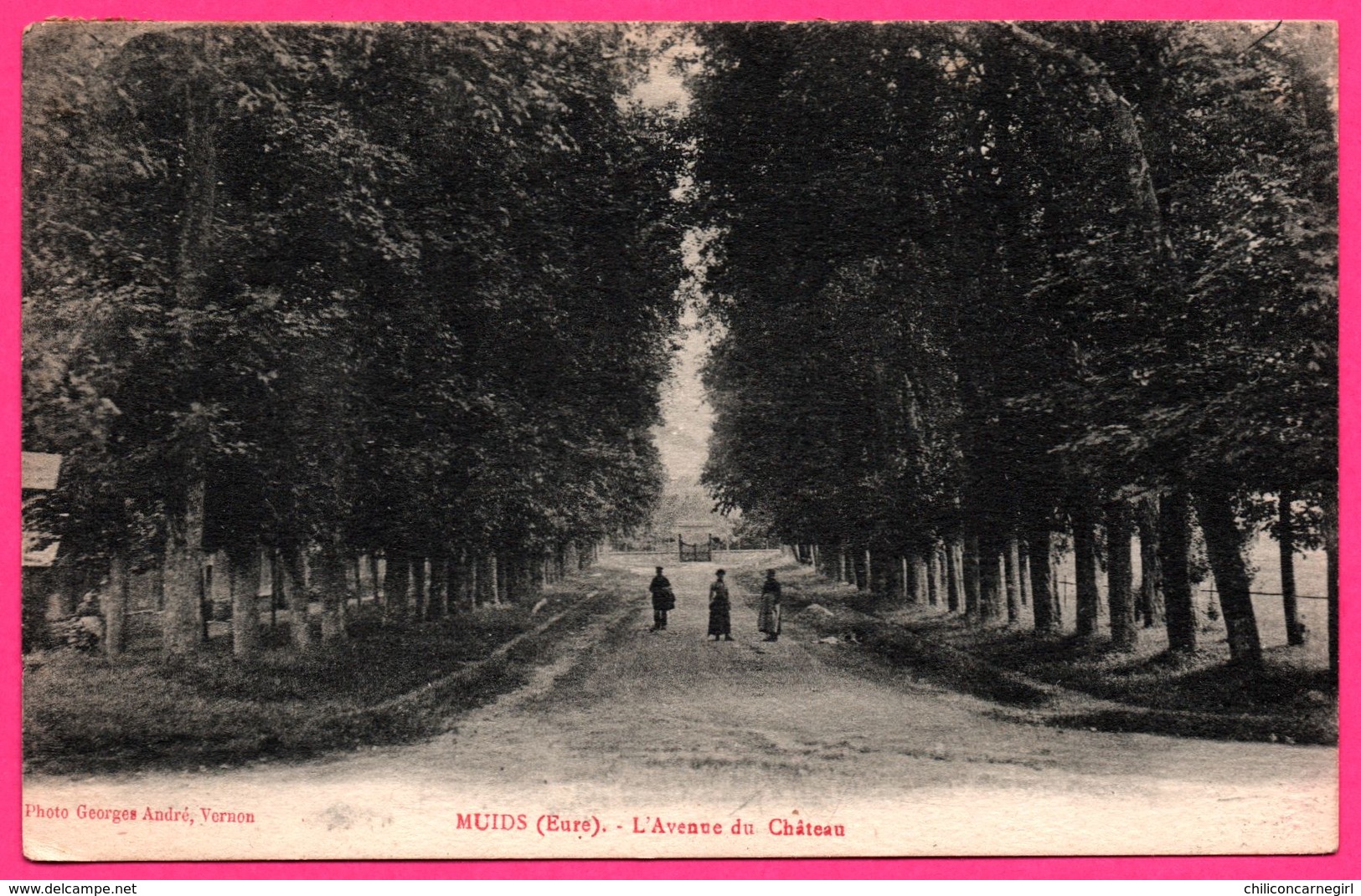 Muids - L'Avenue Du Château - Animée - Photo GEORGES ANDRE - Muids