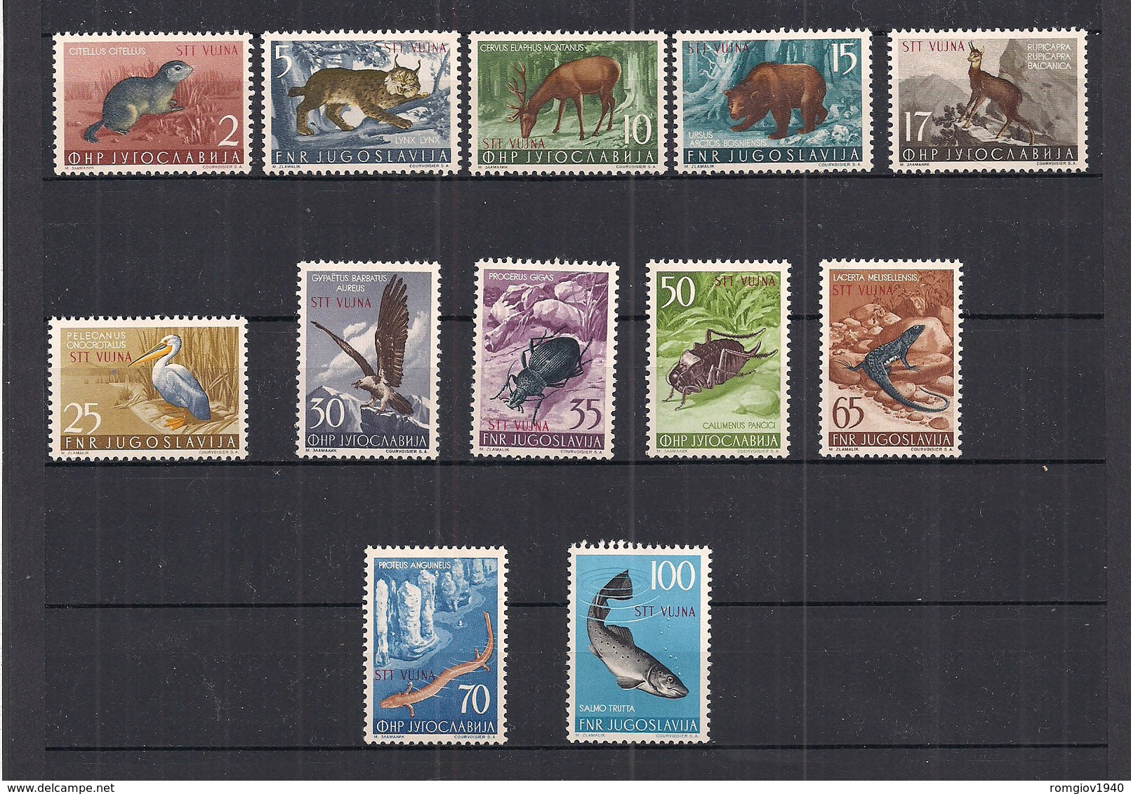 TRIESTE ZONA B  1954 ANIMALI SASS. 101-112  MNH XF+++++++++++++++++++++++++++++ - Mint/hinged