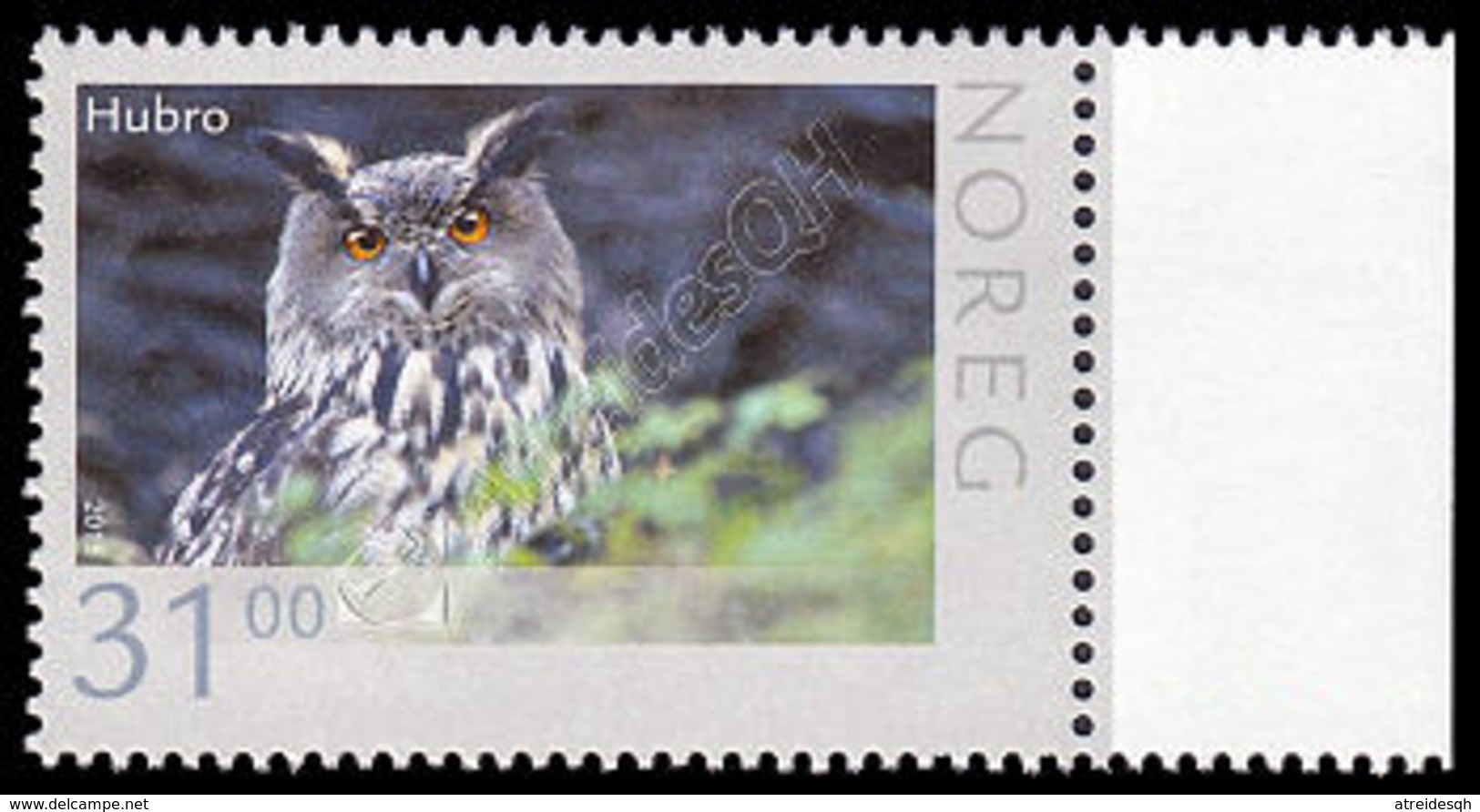 Norvegia / Norway 2015: Gufo Reale / Eagle-owl ** - Owls