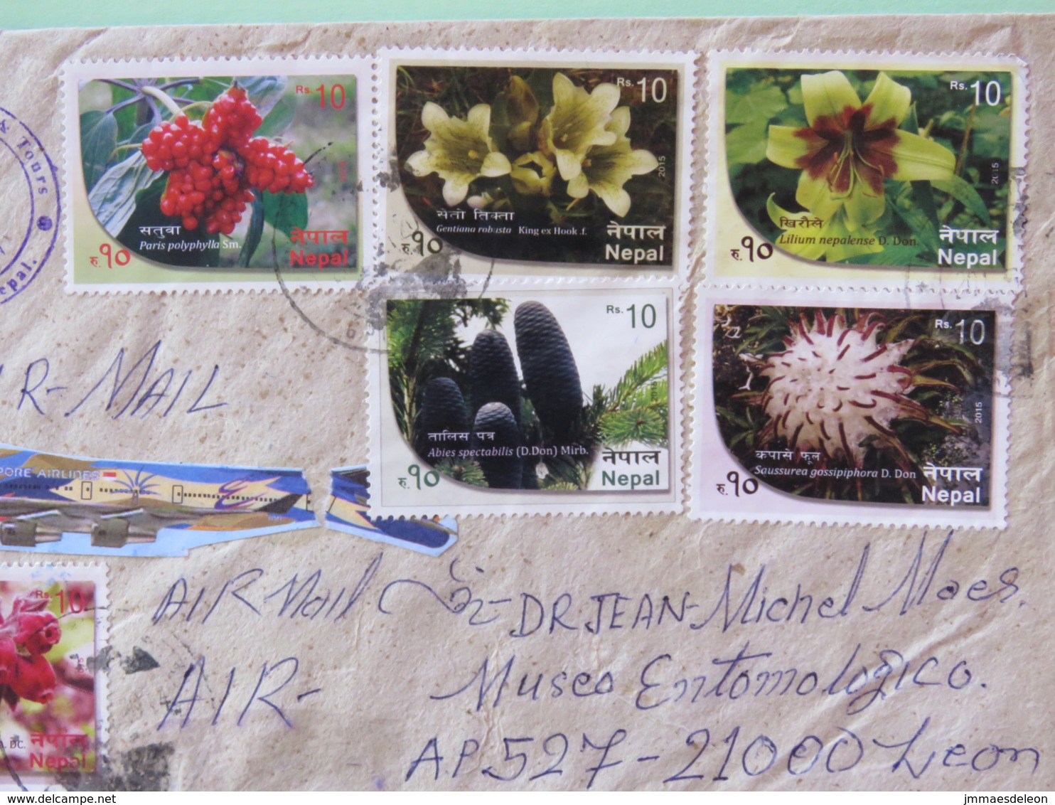 Nepal 2018 Cover To Nicaragua - Flowers - Népal