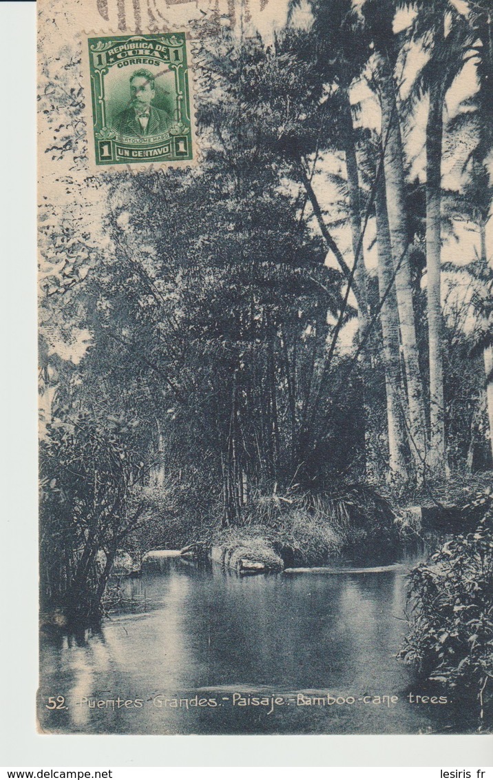 C.P.A. - RÉPUBLIQUE DE CUBA - PUENTES GRANDES - PAISAJE - BAMBOO - CANE TREES - 52 - - Autres & Non Classés