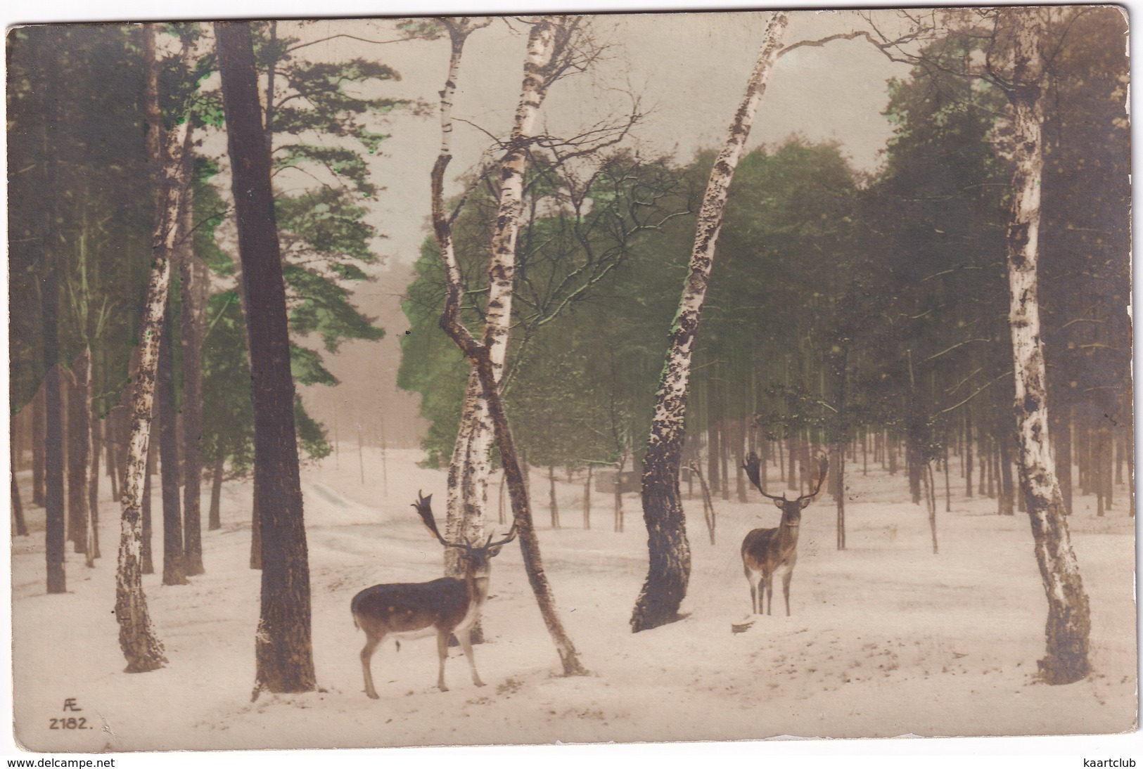 Deer In The Park - (AE 2182) - Andere & Zonder Classificatie