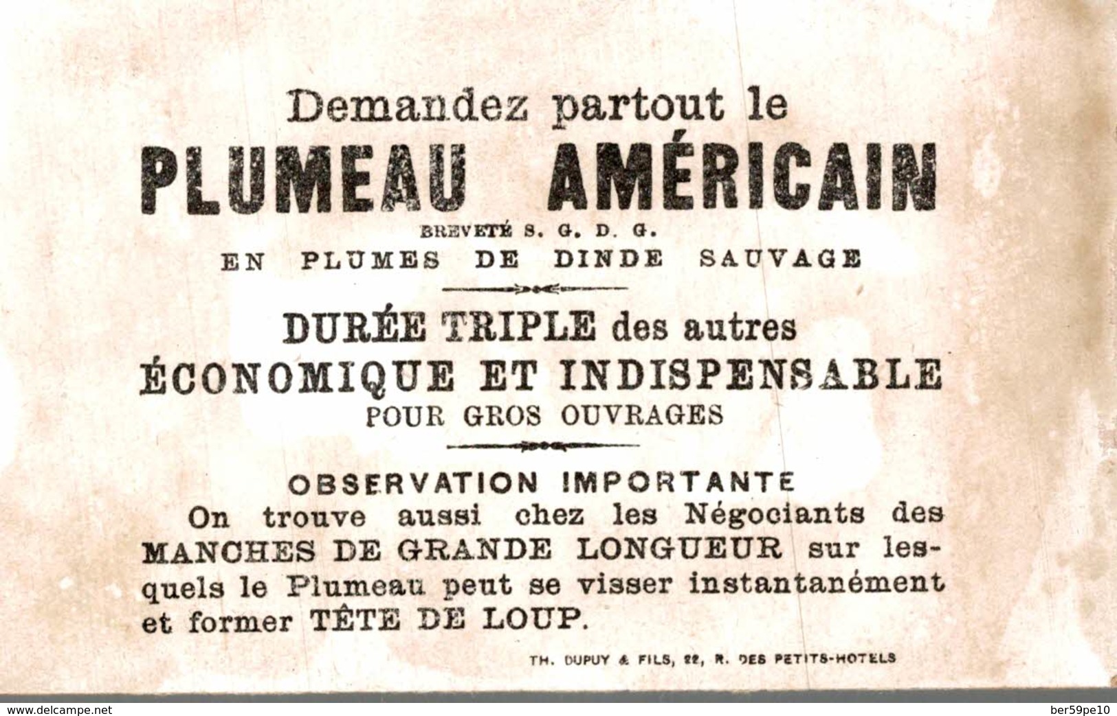 CHROMO PLUMEAU AMERICAIN  LE JEUNE HOMME ET LE FUSCHIA - Autres & Non Classés