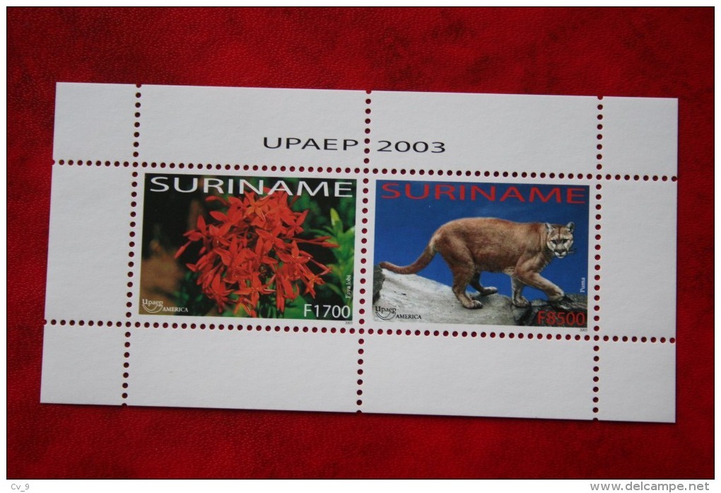 Surinam / Suriname 2003 Minisheet UPAEP Flower Puma (ZBL 1216 Mi Block 91  Sc -) POSTFRIS / MNH ** - Suriname