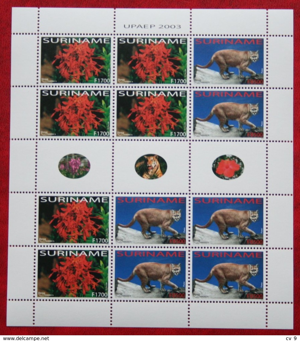 Surinam / Suriname 2003 UPAEP Flower Puma Complete Sheet  (ZBL 1214-1215 Mi 1886-1887  Sc -) POSTFRIS / MNH ** - Suriname