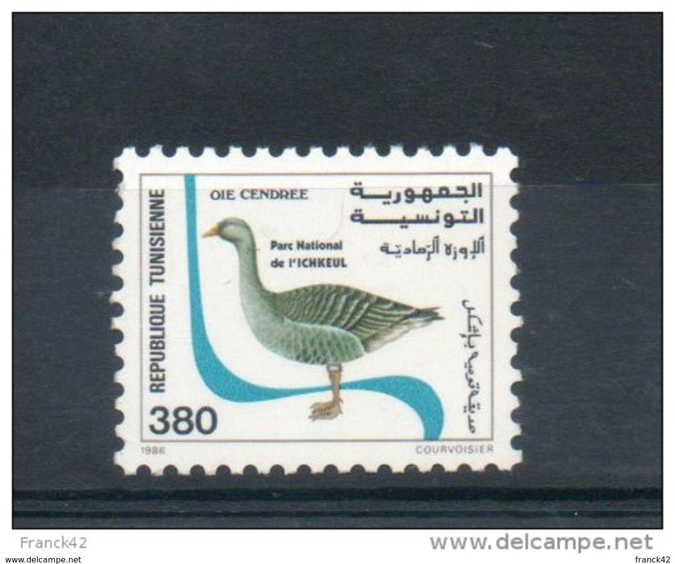 Tunisie. Oie Cendrée - Tunisie (1956-...)