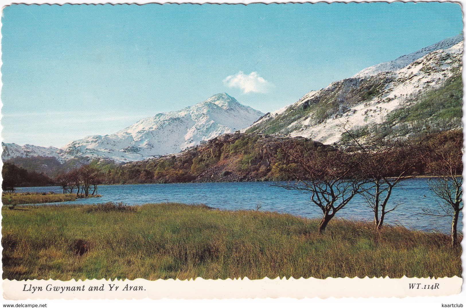 Llyn Gwynant And Yr Aran - (Wales) - Caernarvonshire