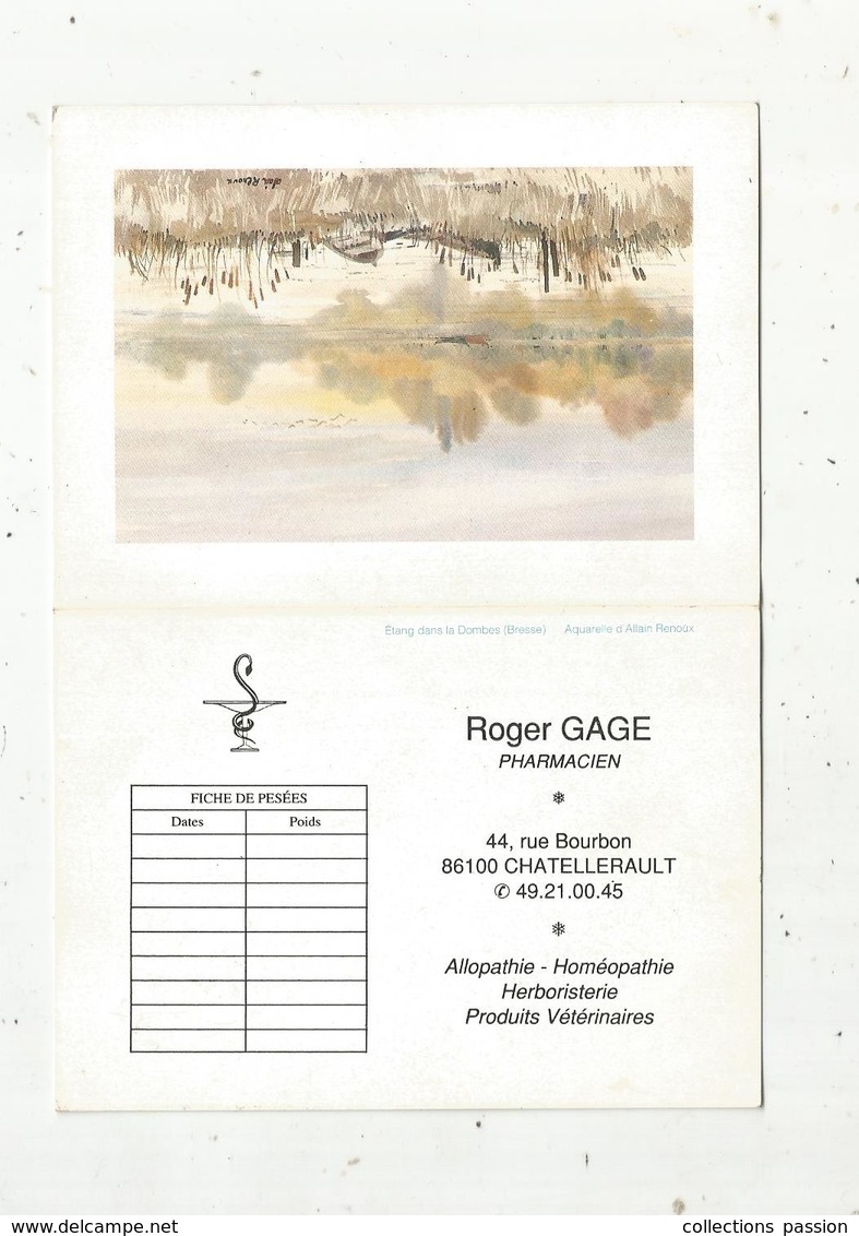 Calendrier Petit Format , 1990 , Roger GAGE , Pharmacien , Aquarelle De A. Renoux , étang Dans La Dombes ,Bresse,3 Scans - Formato Piccolo : 1981-90