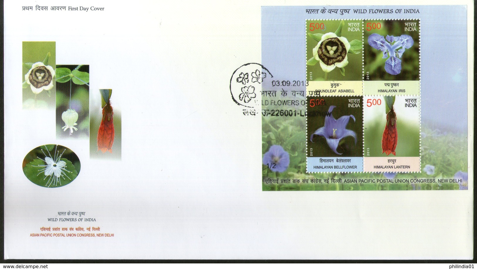 India 2013 Wild Flowers Of India Lily Sunflowers Poppy Set Of 3 M/s On FDCs - Other & Unclassified