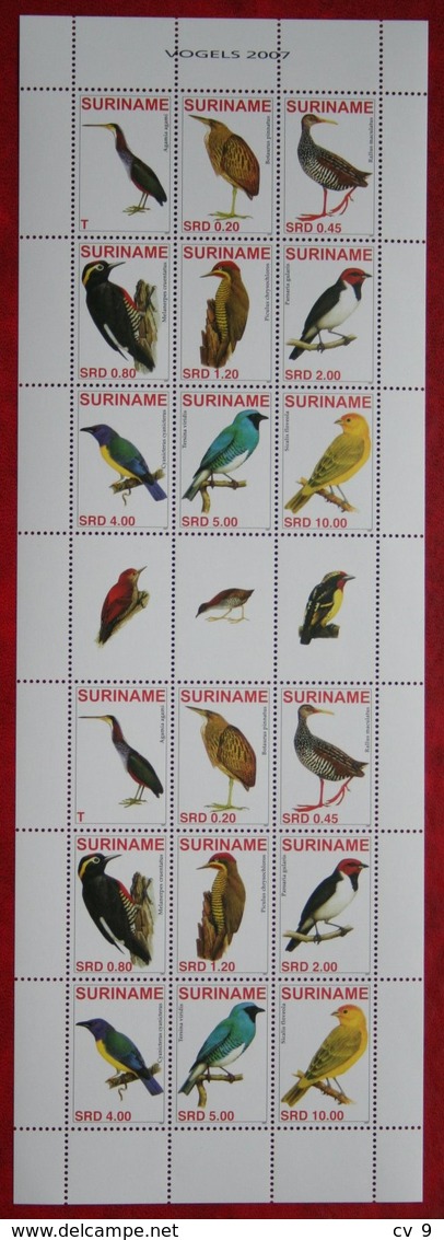 Surinam / Suriname 2007 Complete Sheet Birds Vogels Oiseaux Pajaros (ZBL 1458-1466 Mi 2129-2137  Sc -) POSTFRIS / MNH ** - Suriname