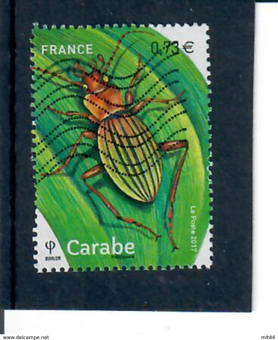 Yt 5150 Carabe Insectes - Oblitérés