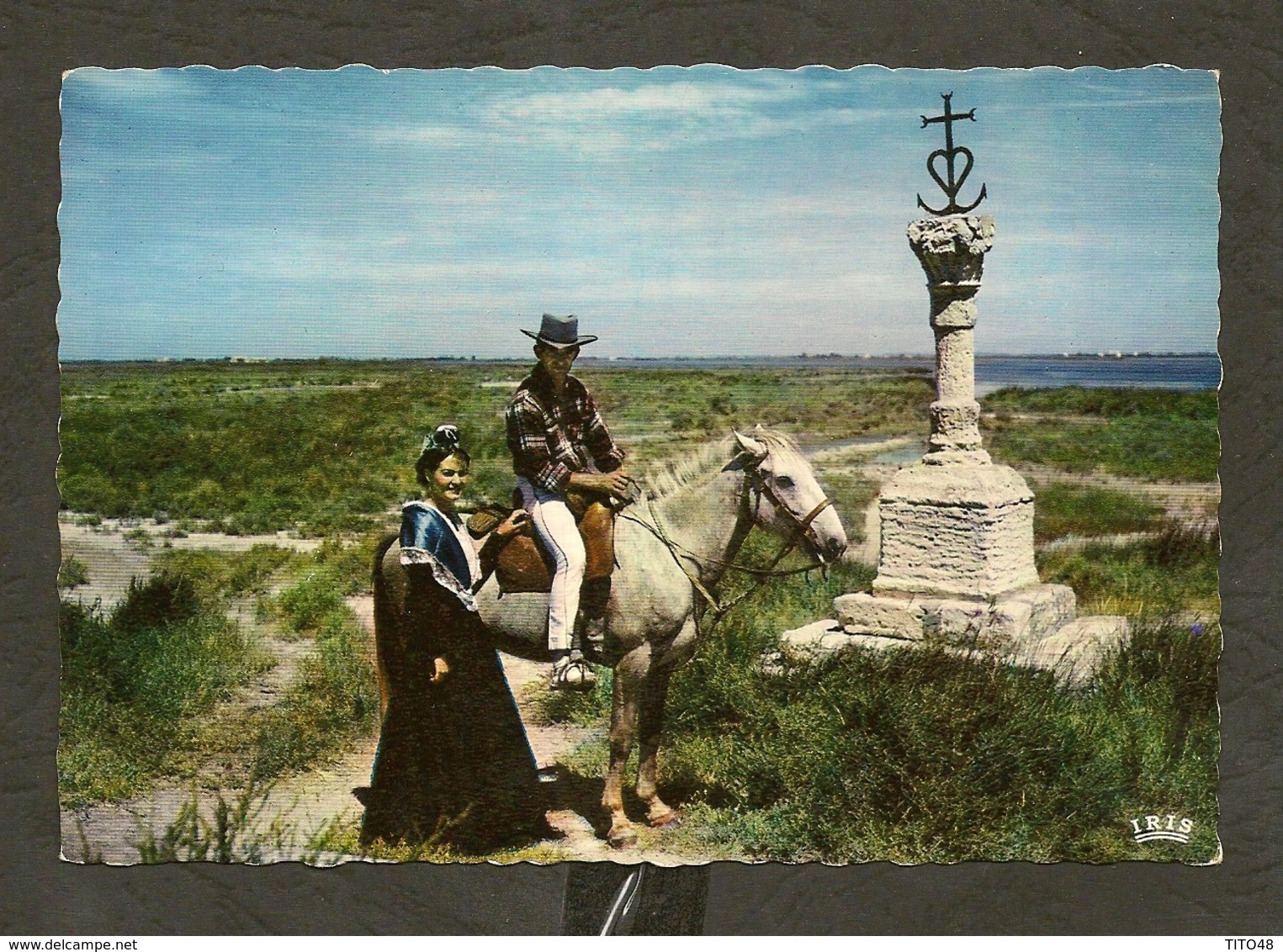 CP-CAMARGUE - Avec Les Gardians - Heureuse Rencontre - Autres & Non Classés