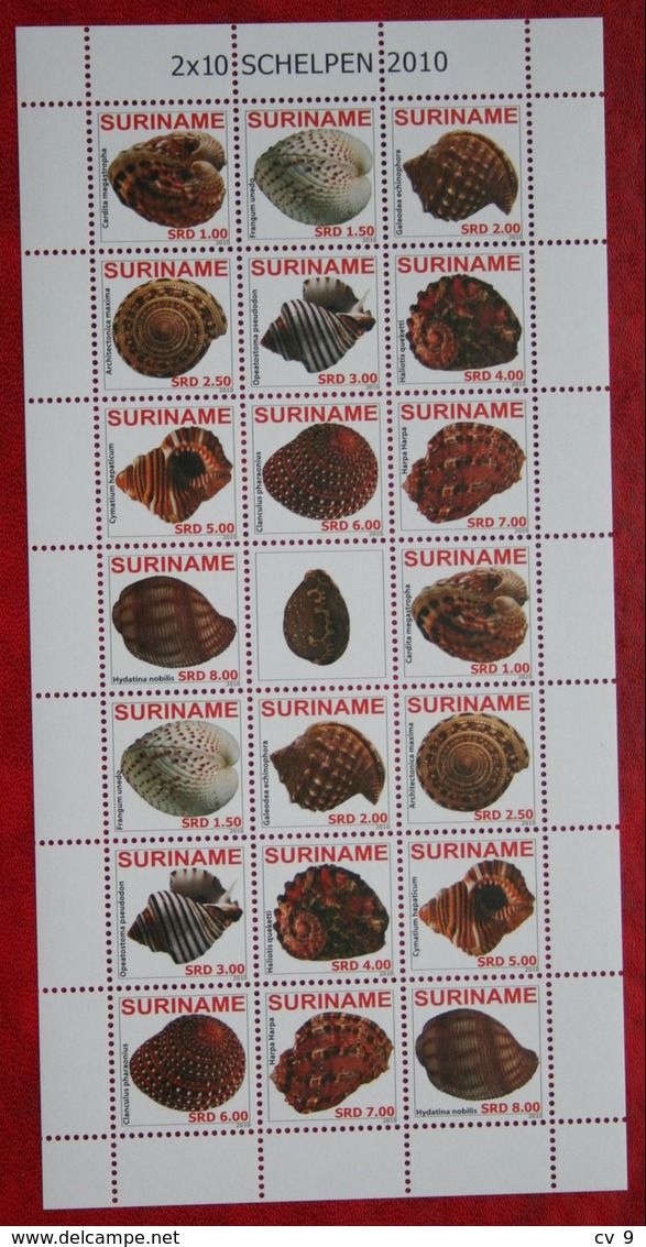 Surinam / Suriname 2010 Schelpen Shells Muscheln Coquilles Complete Sheet (ZBL 1685-1694 Mi 2361-2370) POSTFRIS / MNH ** - Suriname