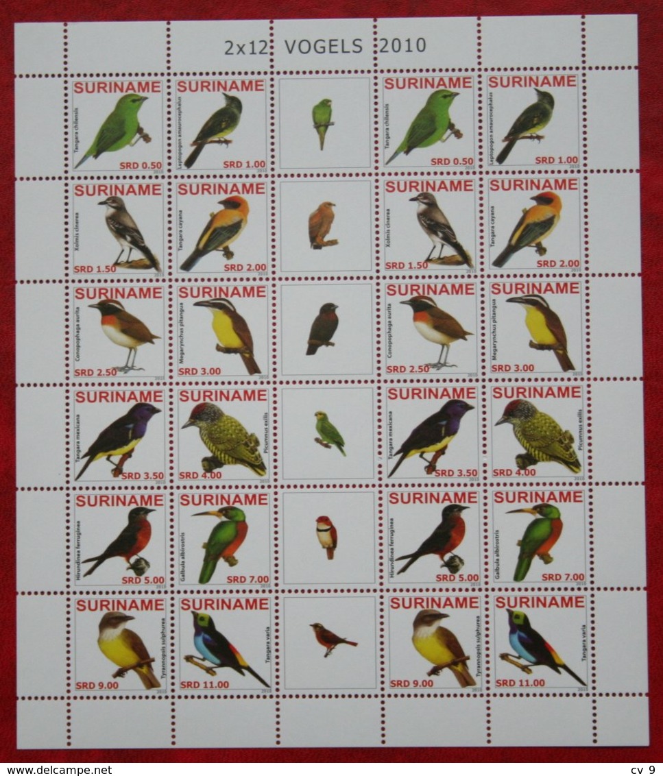 Surinam / Suriname 2010 Complete Sheet Birds Vogel Oiseaux Pajaro (ZBL 1717-1728 Mi 2393-2404)   POSTFRIS / MNH ** - Suriname