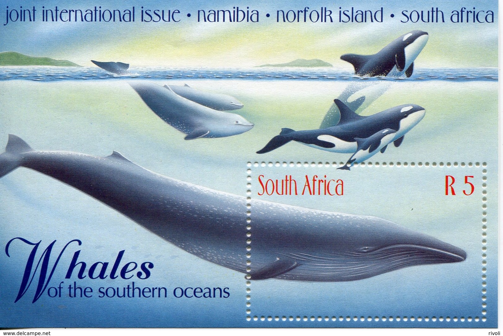 AFRIQUE DU SUD 1998 - SOUTH AFRICA - BLOC NAMIBIA NORFOLK & S.AFRICA JOINT INT'L WHALE/FISH Mnh ** - Blocs-feuillets