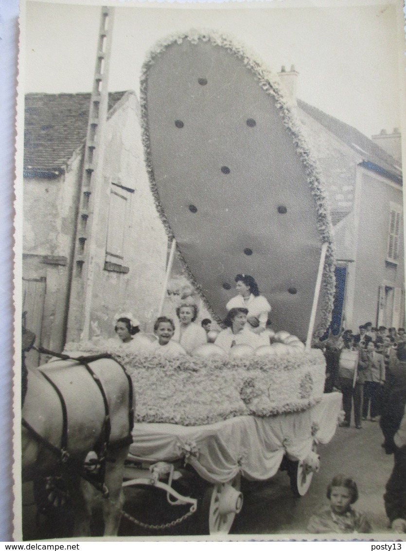 Brie-Comte-Robert (77) - Rare Photographie Originale Défilé Char  FETE  DES  ROSES - 1952 -  Tampon Photographe Au Dos. - Andere & Zonder Classificatie