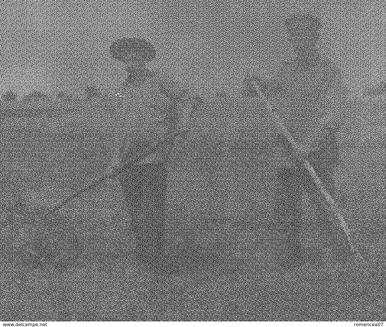 TRAVAIL Des CHAMPS - Paysans, Fourche - Paysan - Agriculture - Carte-photo - Vers 1930 - A Voir ! - Cultures