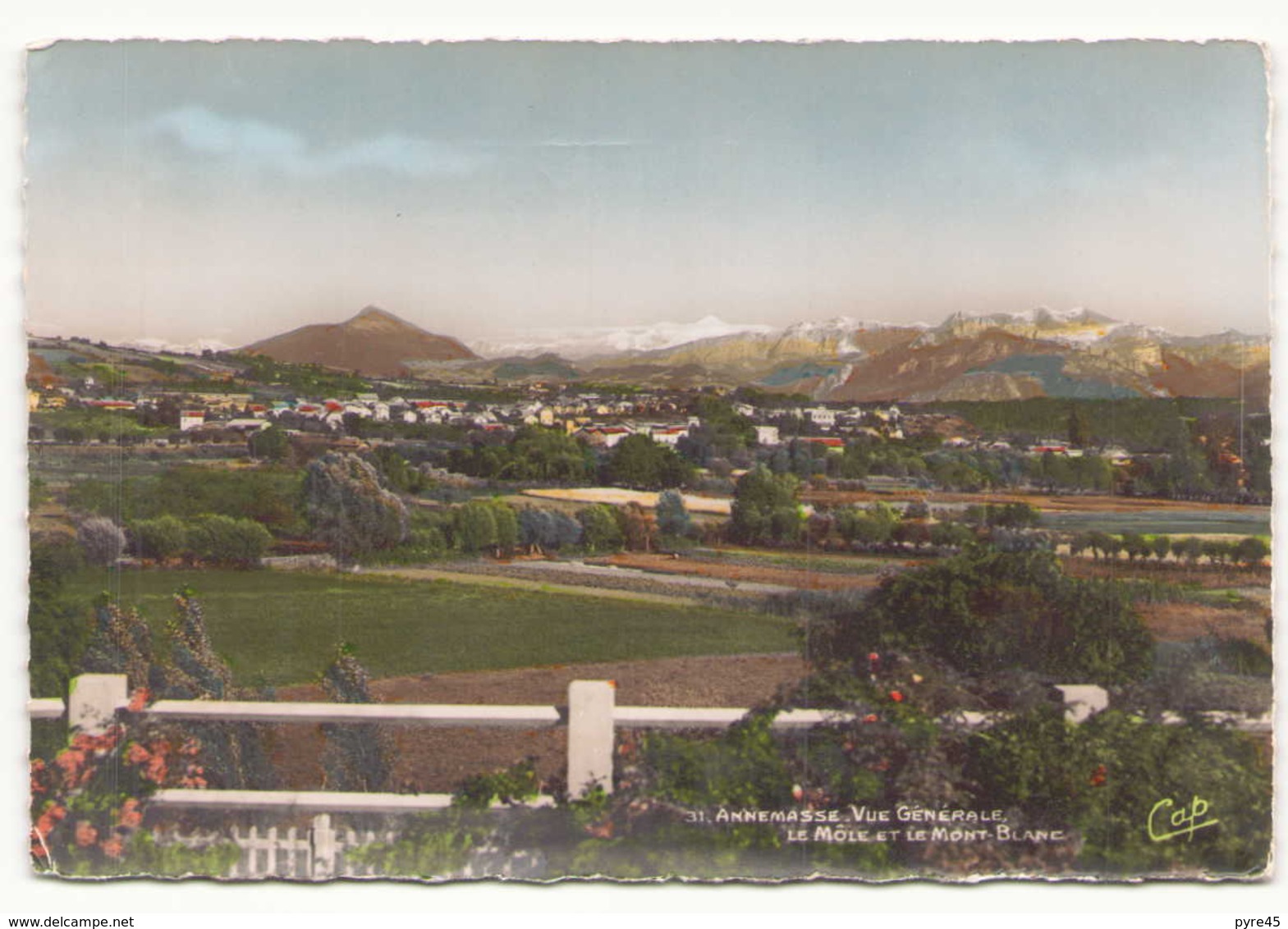 ANNEMASSE VUE GENERALE LE MOLE ET LE MONT BLANC 74 - Annemasse