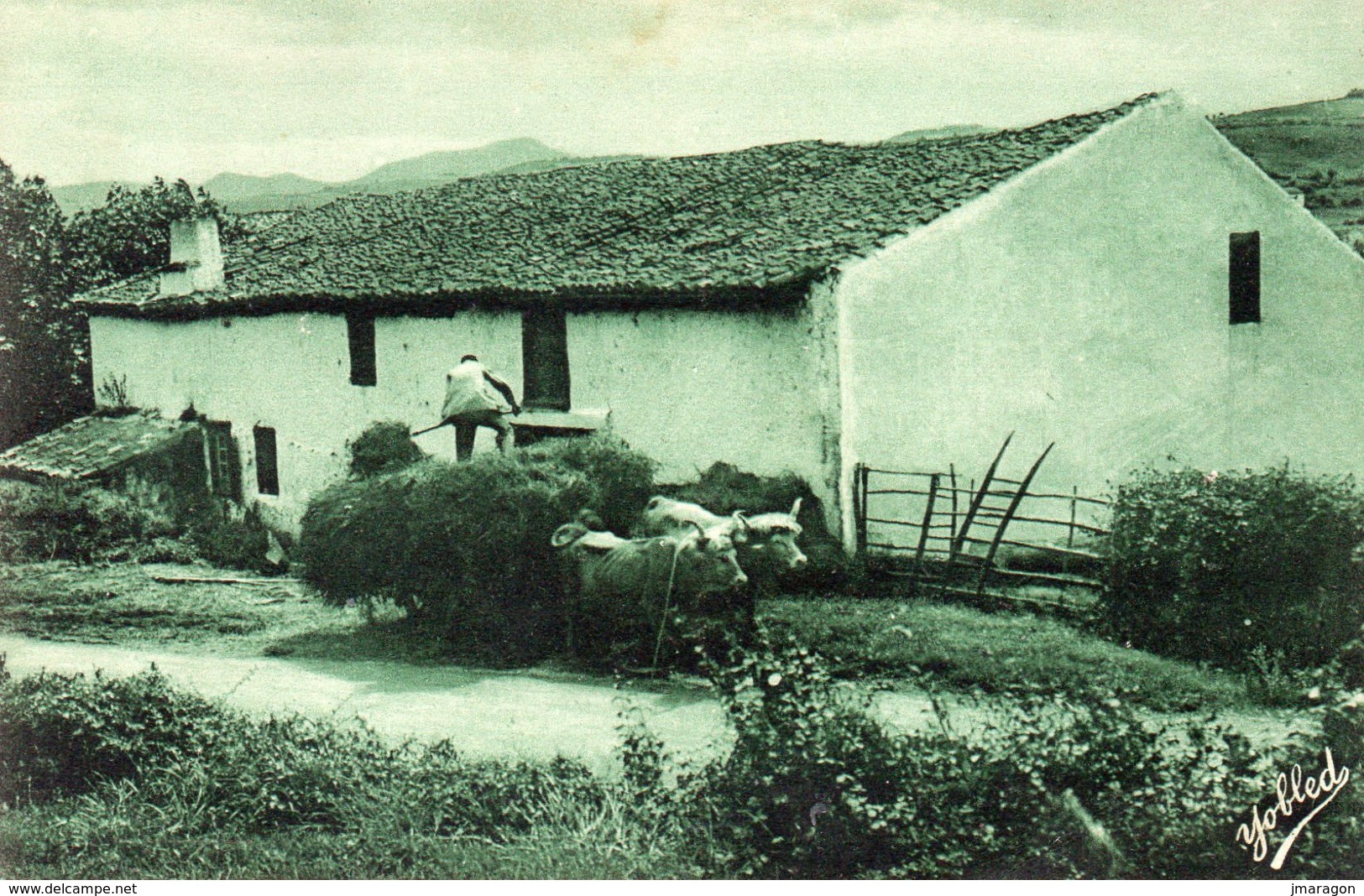 PAYS BASQUE - Rentrée Du Foin Dans Une Vieille Ferme De La Montagne  - MD 346 - Vierge - Tbe - Attelages