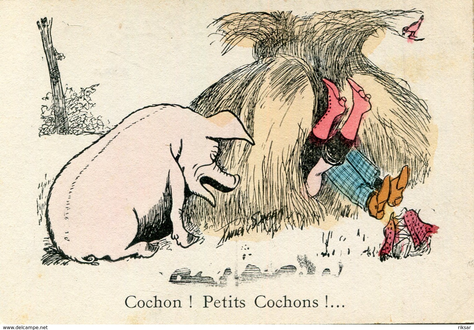 COCHON(HUMOUR) - Cochons