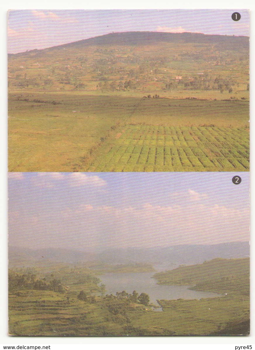 OUGANDA KABALE LANDSCAPE / LAKE BUNYONYI WESTERN UGANDA - Ouganda
