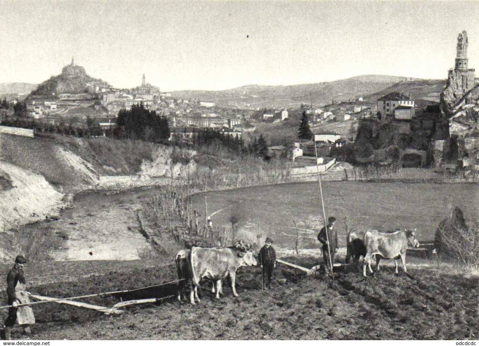 "Il était Une Fois L'Auvergne" Laboureurs Sur Les Bords De La Borne RV - Cultures